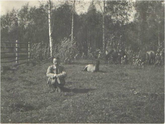 Puszcza Białowieska. Zwierzyniec koników typu tarpana leśnego. 20.09.1937.