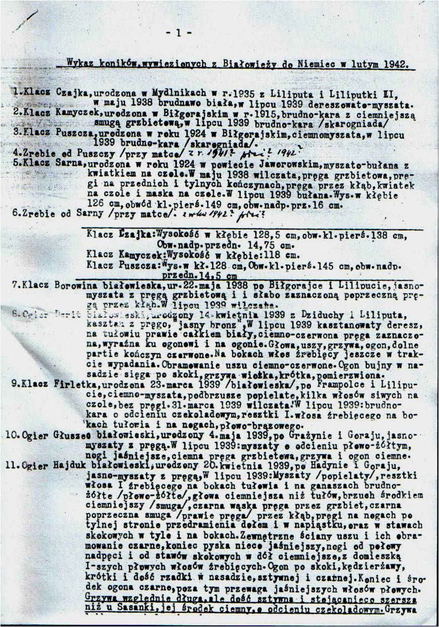 Wykaz koników wywiezionych z Białowieży do Niemiec w lutym 1942 (30 pozycji) wraz z notatką o wywózkach w roku 1943 (2 koniki) i 1944 (3 koniki). (maszynopis T.V. z dopiskami ręcznymi) (str. 1 na 3)