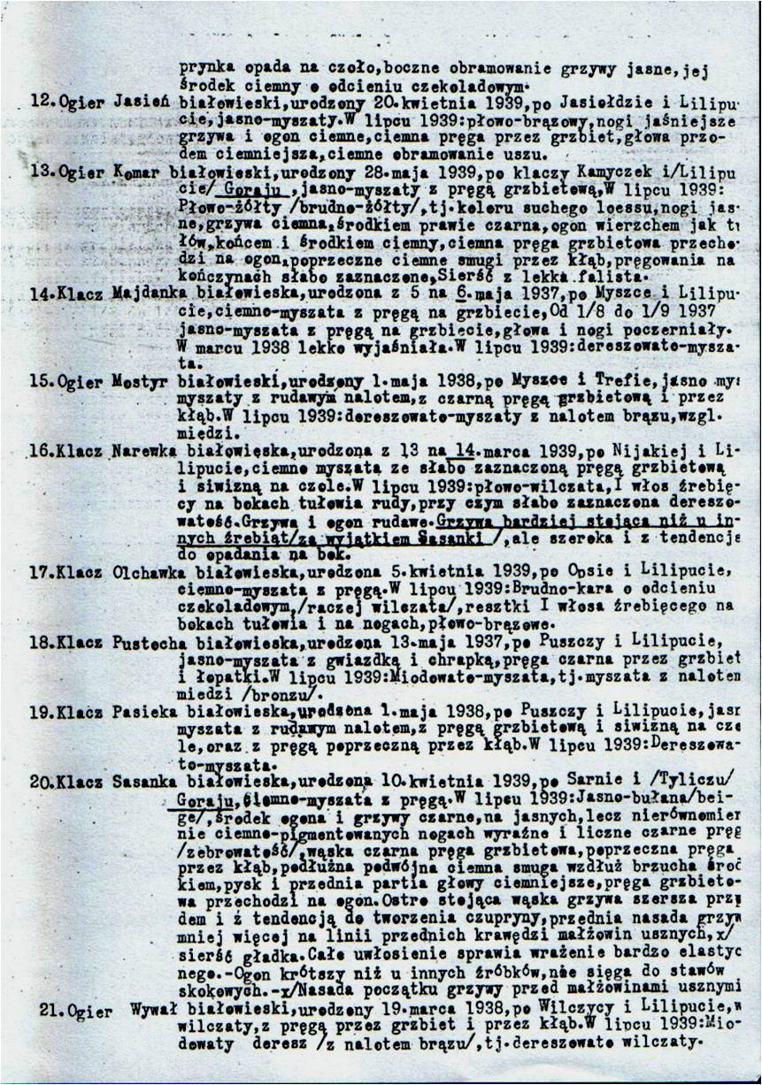 Wykaz koników wywiezionych z Białowieży do Niemiec w lutym 1942