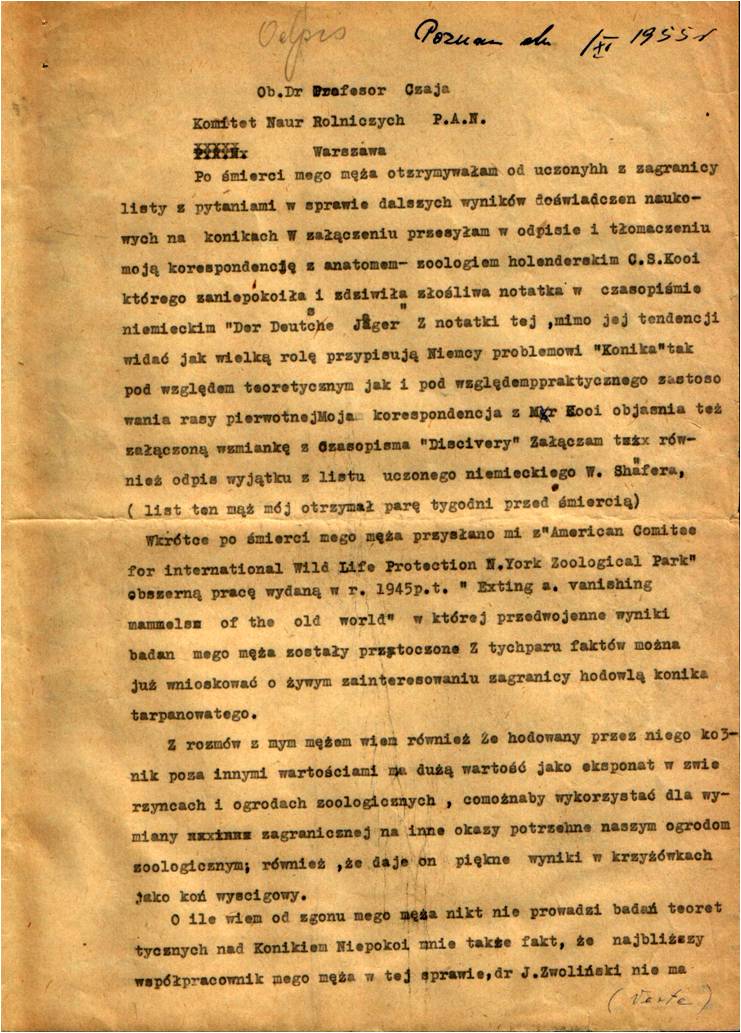 List interwencyjny z listopada 1955 (odpis autorski) Marii Vetulani do Dyrektora Komitetu Nauk Rolniczych PAN (prof. dr Czaja) w sprawie dalszych badań nad konikiem polskim. Str. 1 z 2.