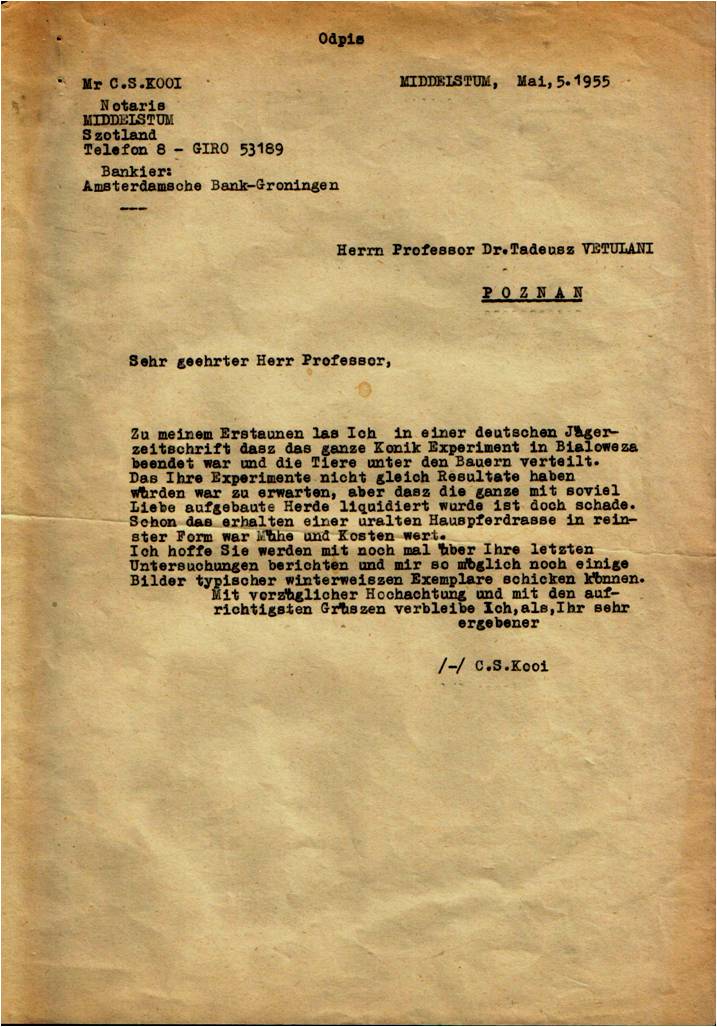 List od C.O.Kooi zaadresowany do Tadeusza Vetulani w sprawie nabycia koników do badań naukowych. 5.5.1955. 